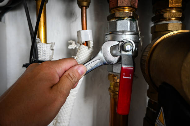Best Affordable Plumber Near Me  in Tipton, IN